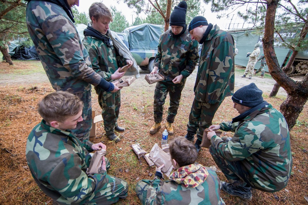 Bernvakario programa Game Over